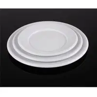 Dinner plate
